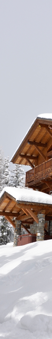 Pricing Plans Ski School 1 t